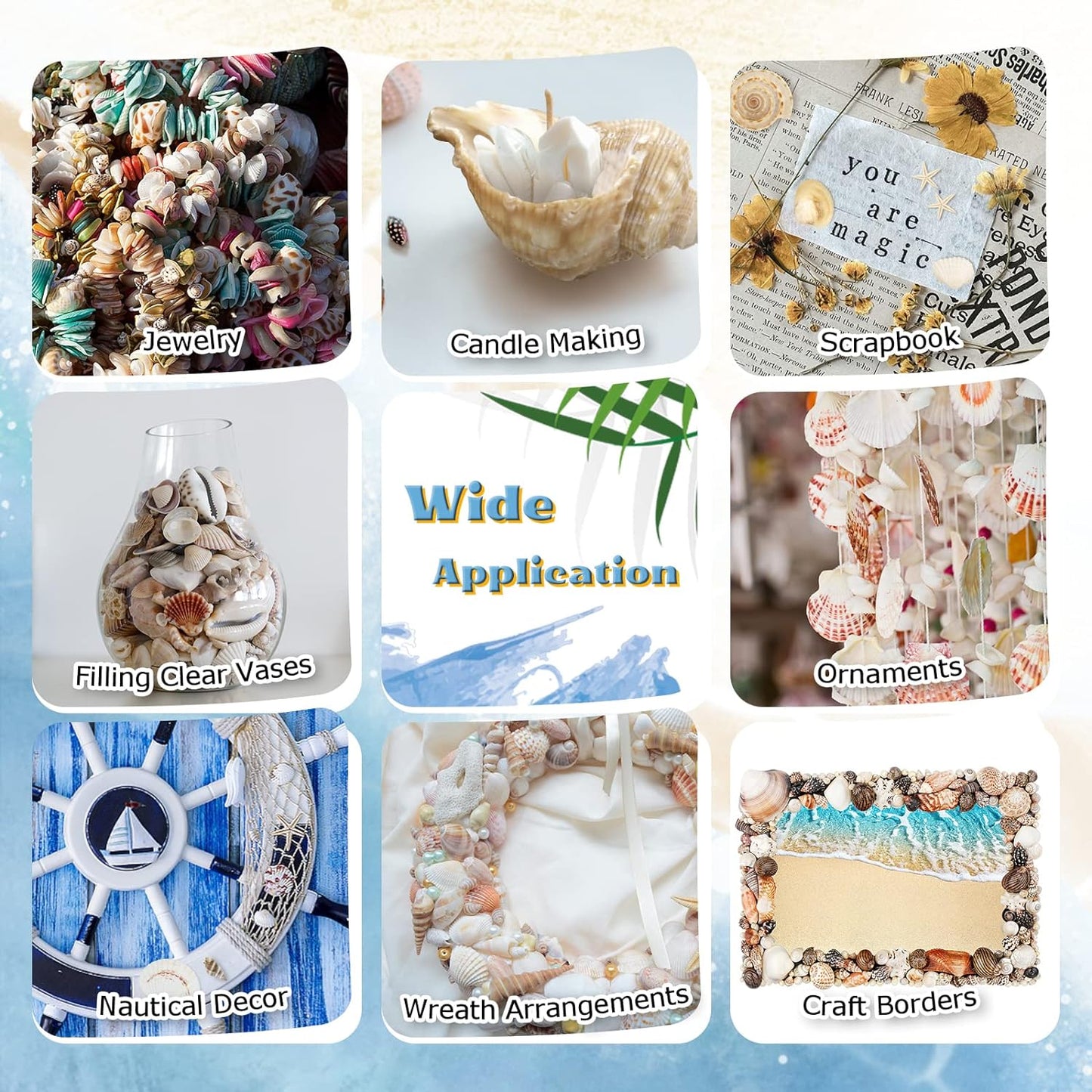 Exotic Florida Tropical Mixed Seashells Colorful Various Sizes Decorative Vase Fillers Beach Home Decor Special Assortment