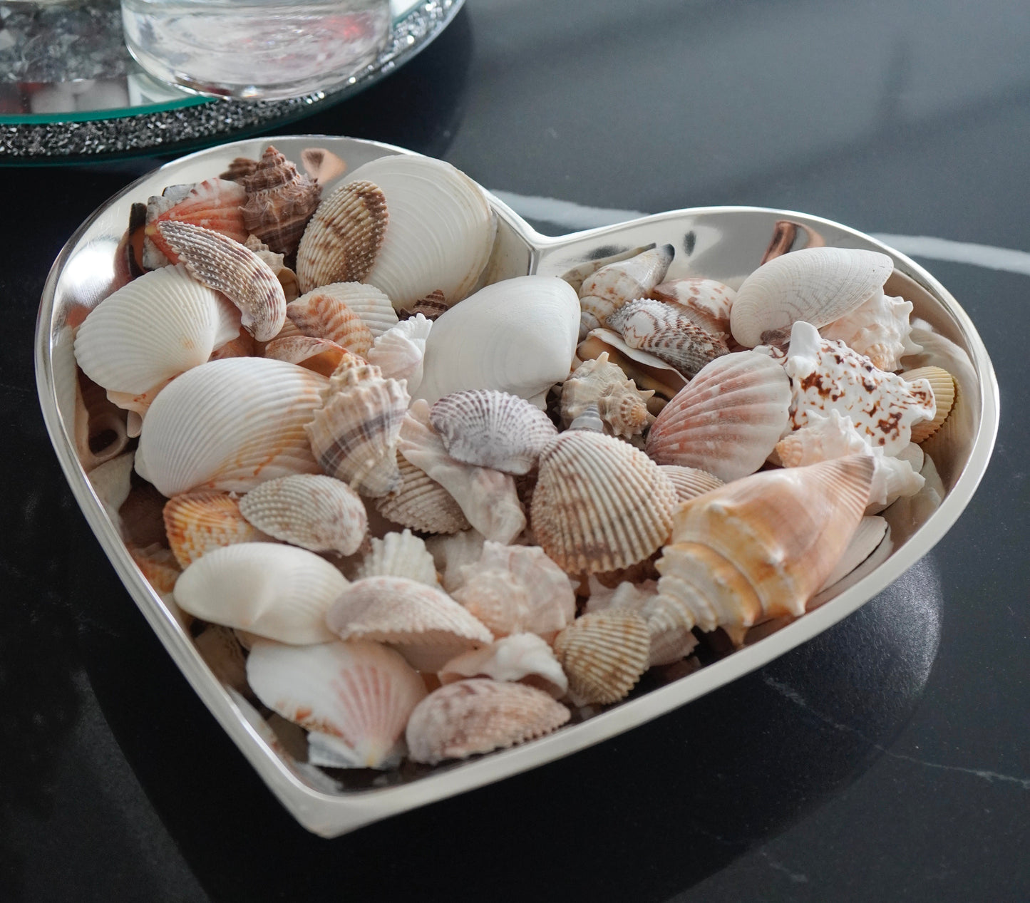 Exotic Florida Tropical Mixed Seashells Colorful Various Sizes Decorative Vase Fillers Beach Home Decor Special Assortment