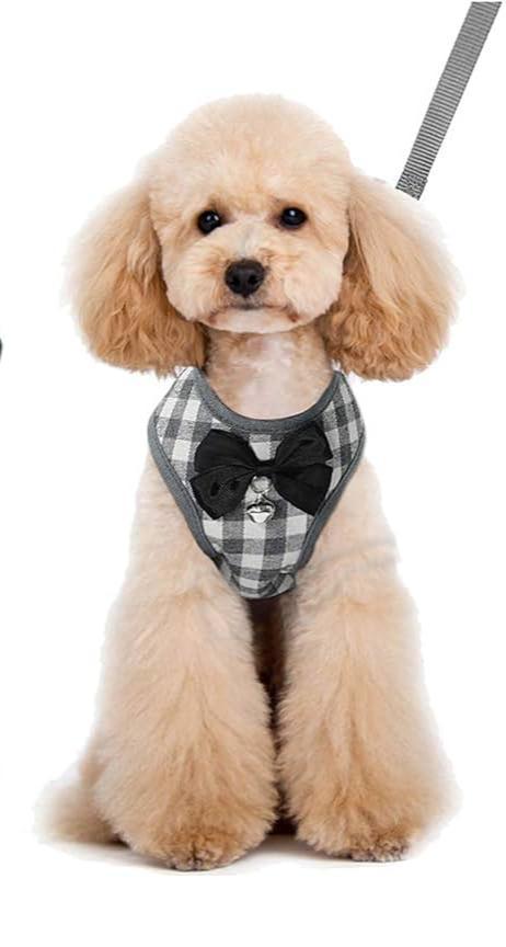 Pet Harness & Leash Set Soft Adjustable Breathable Bow Tie Collar with Bell Luxury Pet Clothes Puppy Clothing, Step In No Pull Vest Walking Outfit Kit Small Medium Dogs Cats Accessories and Gifts