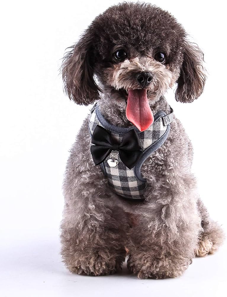 Pet Harness & Leash Set Soft Adjustable Breathable Bow Tie Collar with Bell Luxury Pet Clothes Puppy Clothing, Step In No Pull Vest Walking Outfit Kit Small Medium Dogs Cats Accessories and Gifts