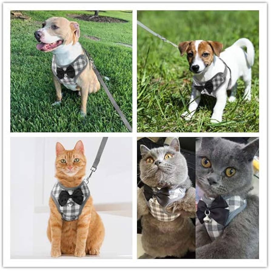 Pet Harness & Leash Set Soft Adjustable Breathable Bow Tie Collar with Bell Luxury Pet Clothes Puppy Clothing, Step In No Pull Vest Walking Outfit Kit Small Medium Dogs Cats Accessories and Gifts