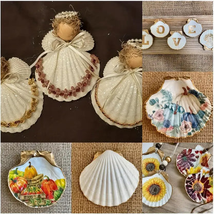 Scallop Seashells Dark Gray Black & White Mixed Assortment Natural Beach Home Decor Coastal Diy Art Craft Nautical Ocean Decoration Mixed Sea Shells