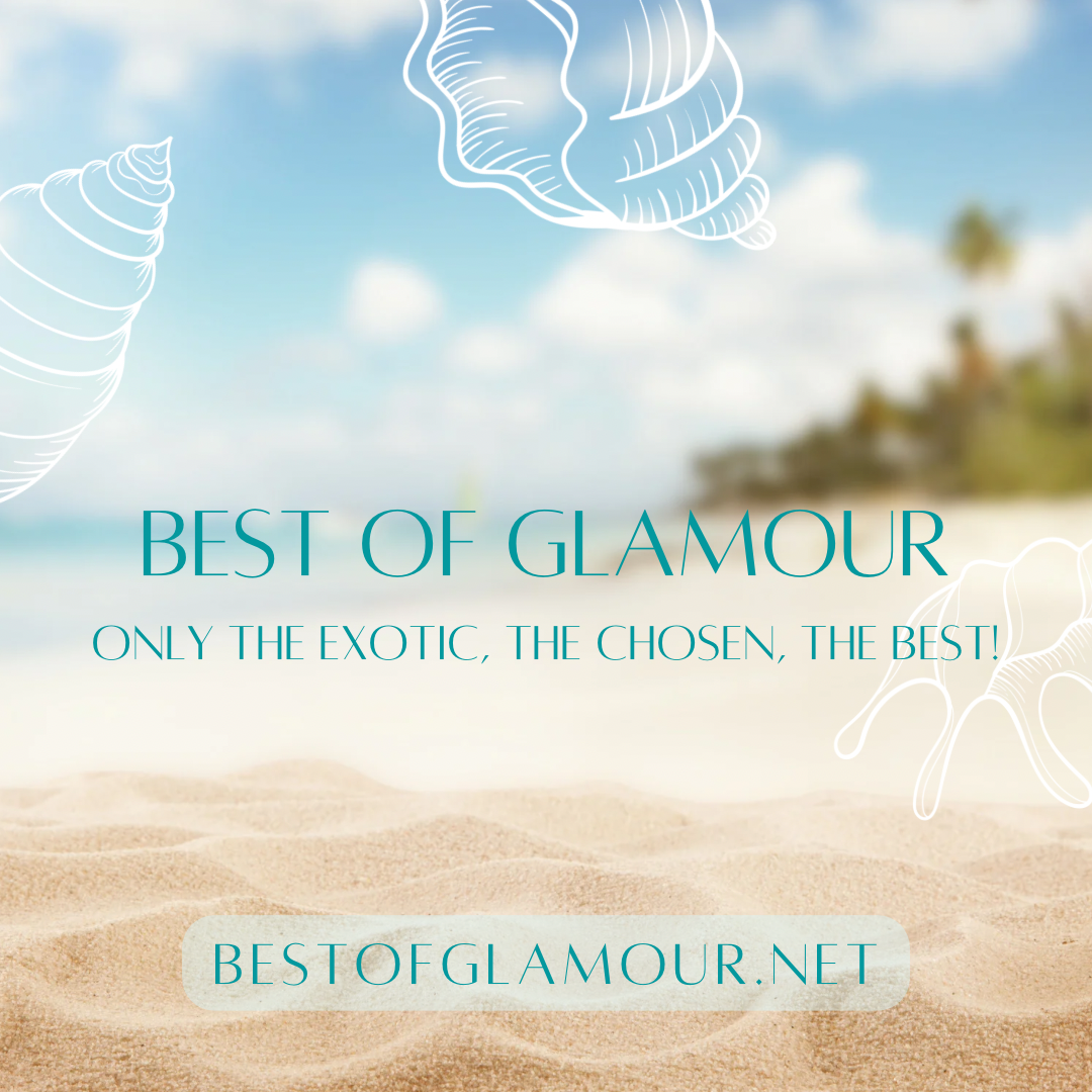 Exotic Florida Tropical Mixed Seashells Colorful Various Sizes Decorative Vase Fillers Beach Home Decor Special Assortment