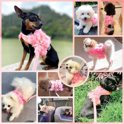 Pet Harness & Leash Set Soft Adjustable Breathable Pink Collar Luxury Pet Clothes Puppy Clothing, Step In No Pull Vest Walking Outfit Kit Small Medium Dogs Cats Accessories and Gifts