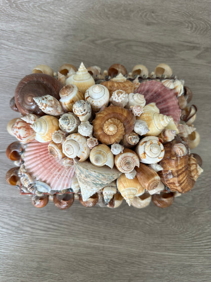 Seashells Large Jewelry Box Rare Vintage Nautical Big Sea Shells Coastal Art Decoration Nautical Ocean Decor Beach Lovers Gift