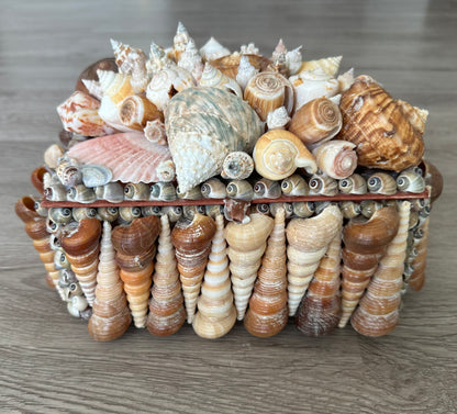 Seashells Large Jewelry Box Rare Vintage Nautical Big Sea Shells Coastal Art Decoration Nautical Ocean Decor Beach Lovers Gift