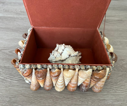 Seashells Large Jewelry Box Rare Vintage Nautical Big Sea Shells Coastal Art Decoration Nautical Ocean Decor Beach Lovers Gift