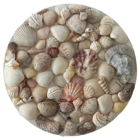 Seashell Wall Art Beach Home Decor Round Wall Hanging Textured Mixed Sea Shells Nautical Centerpiece Display Coastal Living Ocean Decoration