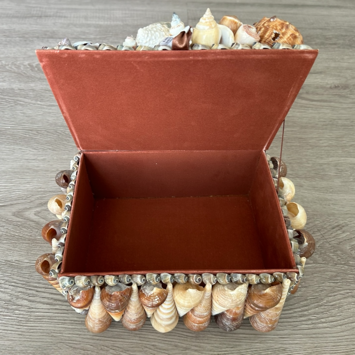 Seashells Large Jewelry Box Rare Vintage Nautical Big Sea Shells Coastal Art Decoration Nautical Ocean Decor Beach Lovers Gift