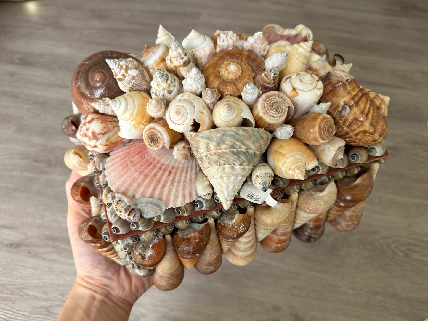 Seashells Large Jewelry Box Rare Vintage Nautical Big Sea Shells Coastal Art Decoration Nautical Ocean Decor Beach Lovers Gift
