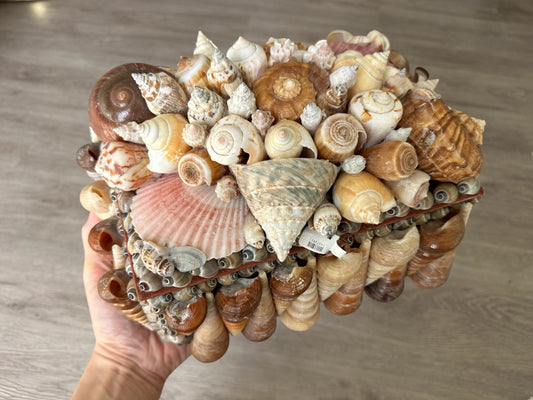 Seashells Large Jewelry Box Rare Vintage Nautical Big Sea Shells Coastal Art Decoration Nautical Ocean Decor Beach Lovers Gift