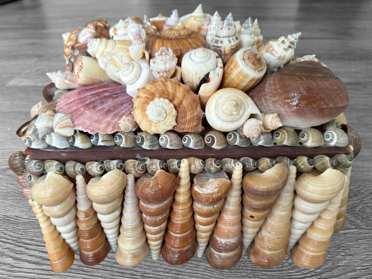 Seashells Large Jewelry Box Rare Vintage Nautical Big Sea Shells Coastal Art Decoration Nautical Ocean Decor Beach Lovers Gift