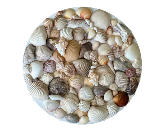 Seashell Wall Art Beach Home Decor Round Wall Hanging Textured Mixed Sea Shells Nautical Centerpiece Display Coastal Living Ocean Decoration