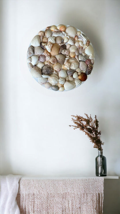 Seashell Wall Art Beach Home Decor Round Wall Hanging Textured Mixed Sea Shells Nautical Centerpiece Display Coastal Living Ocean Decoration