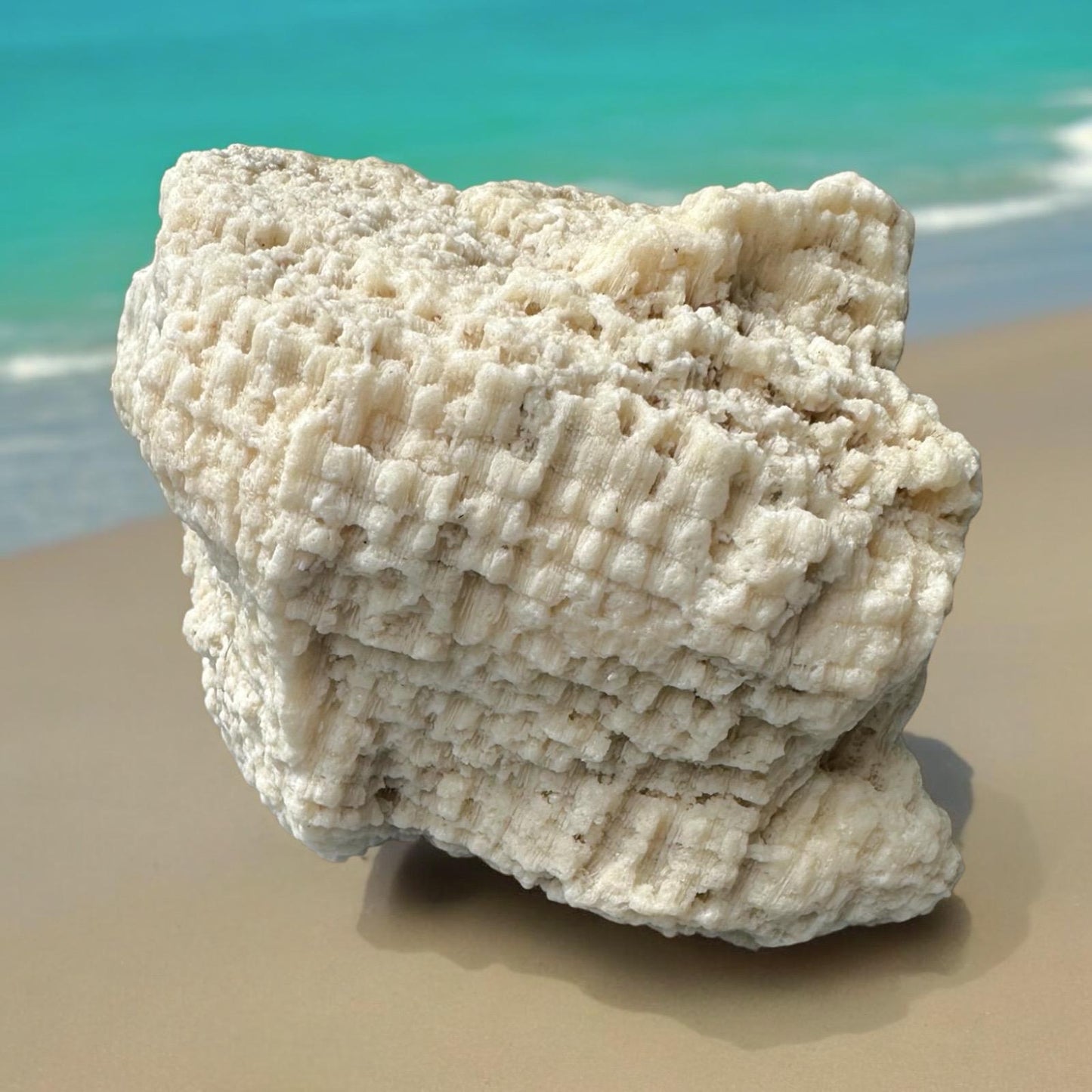 Large Coral Rock Star Sea Natural Vintage Natural Big Sculpted White Ocean Stone Beach Home Decor Saltwater Fish Tank Aquarium Decoration